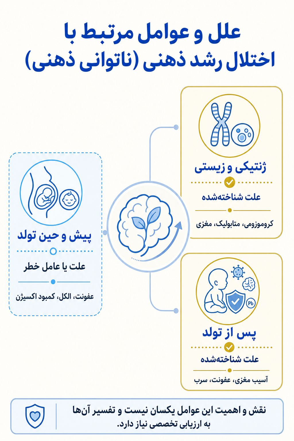 اینفوگرافیک علتها و عوامل خطر اختلال رشد ذهنی (ناتوانی ذهنی) بر اساس مدل زیستی، روانی و اجتماعی.