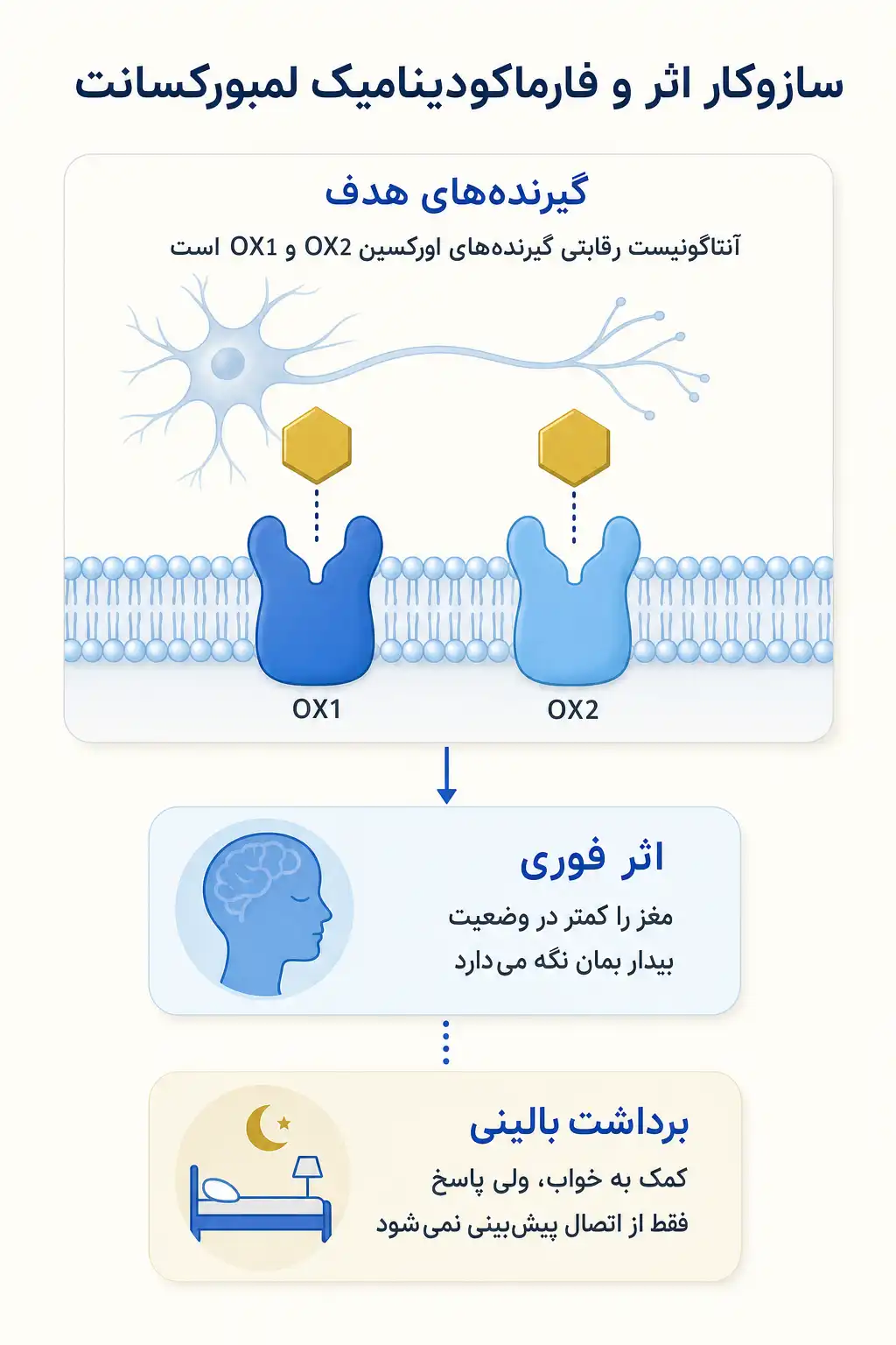 اینفوگرافیک مکانیسم اثر و فارماکودینامیکلمبورکسانت
