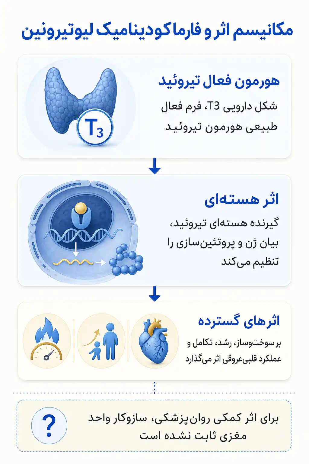 اینفوگرافیک مکانیسم اثر و فارماکودینامیکلیوتیرونین