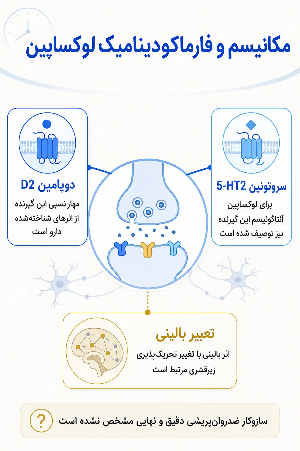 اینفوگرافیک مکانیسم اثر و فارماکودینامیکلوکساپین