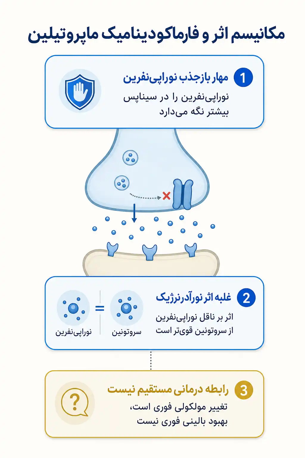 اینفوگرافیک مکانیسم اثر و فارماکودینامیکماپروتیلین