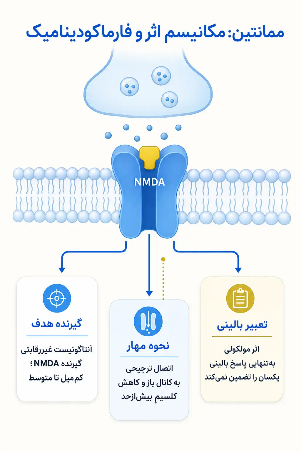 اینفوگرافیک مکانیسم اثر و فارماکودینامیکممانتین