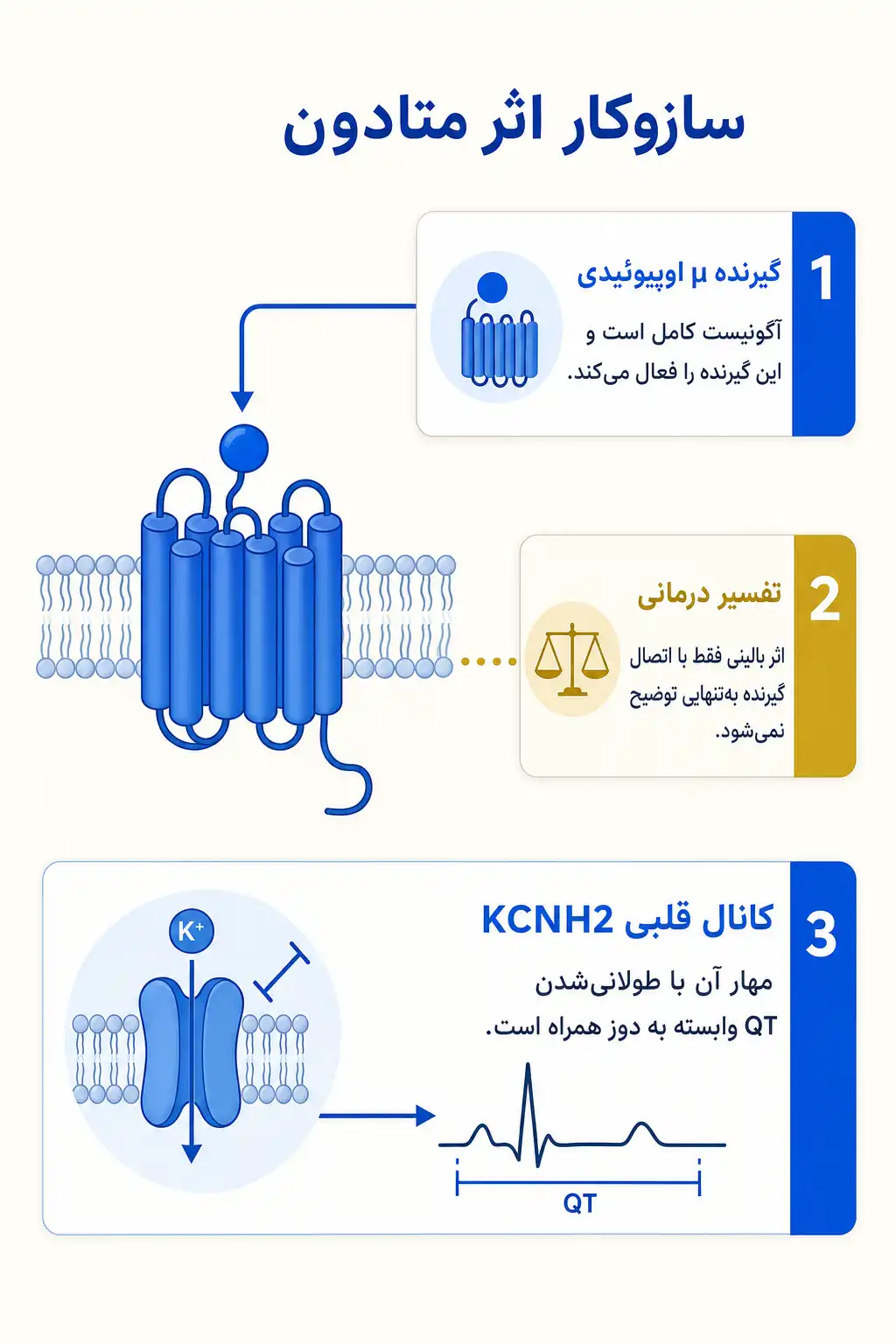 اینفوگرافیک مکانیسم اثر و فارماکودینامیکمتادون