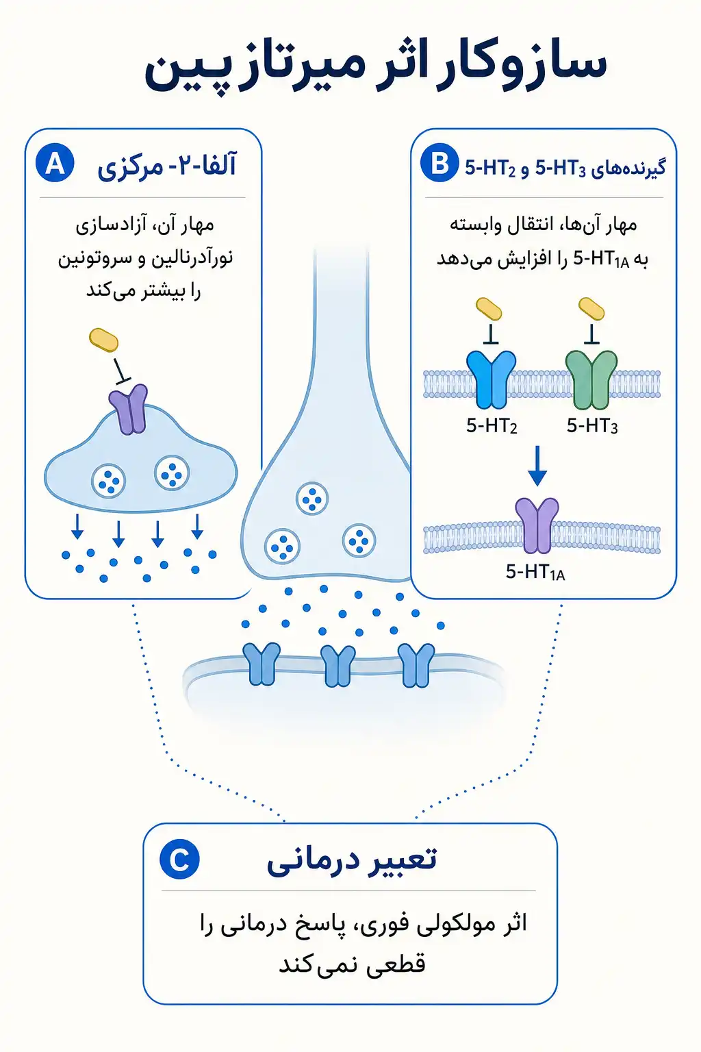 اینفوگرافیک مکانیسم اثر و فارماکودینامیکمیرتازپین