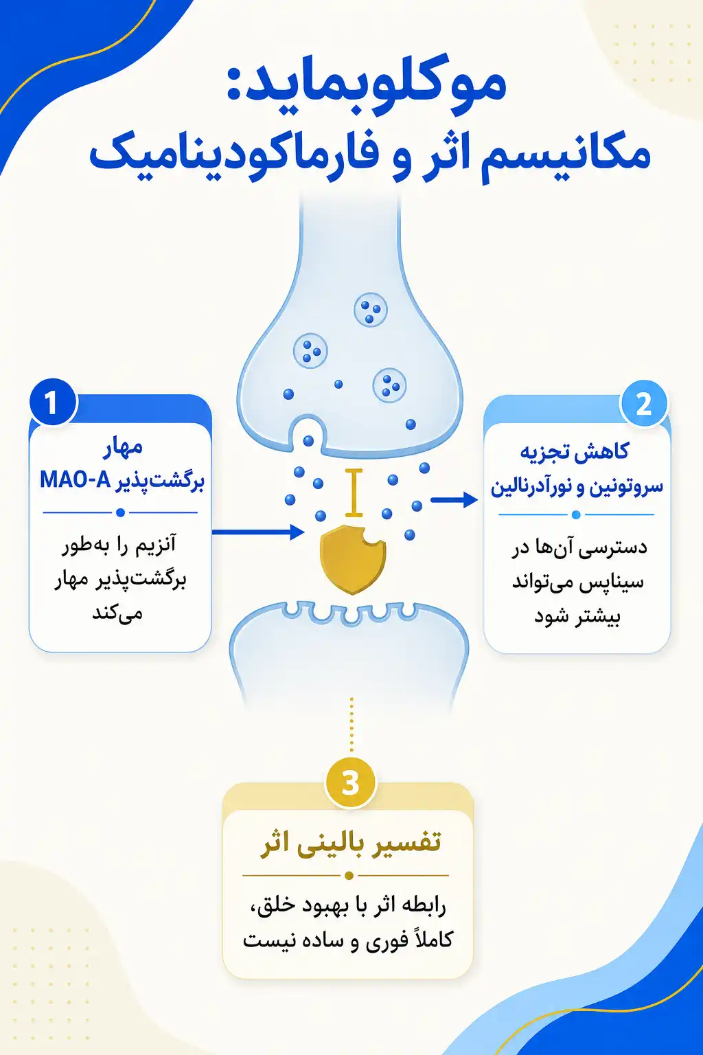 اینفوگرافیک مکانیسم اثر و فارماکودینامیکموکلوبماید