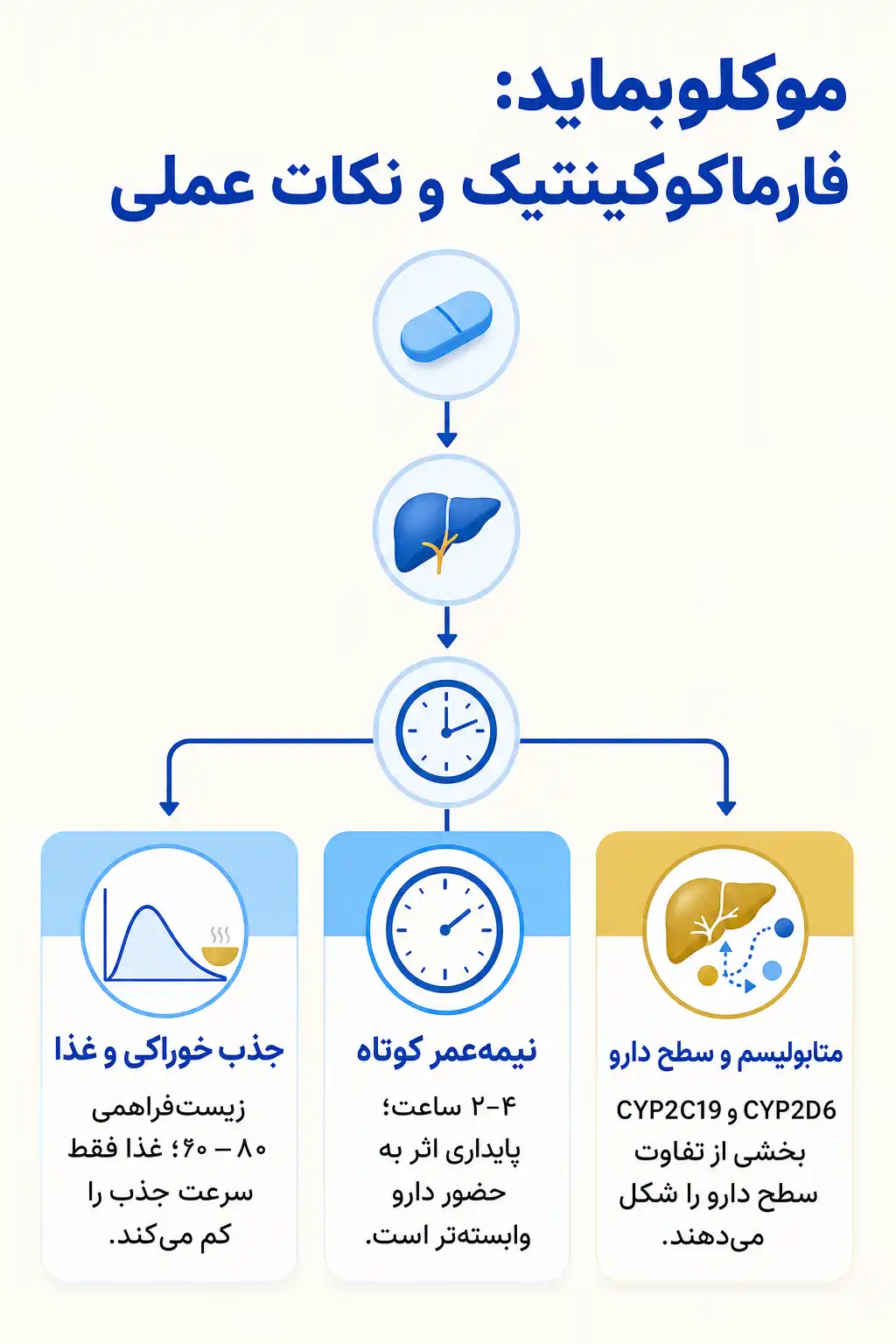 اینفوگرافیک فارماکوکینتیک و مسیر موکلوبماید در بدن