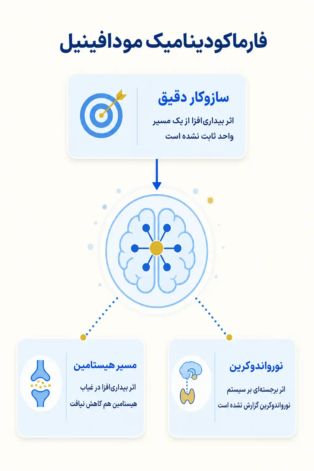 اینفوگرافیک مکانیسم اثر و فارماکودینامیکمودافینیل
