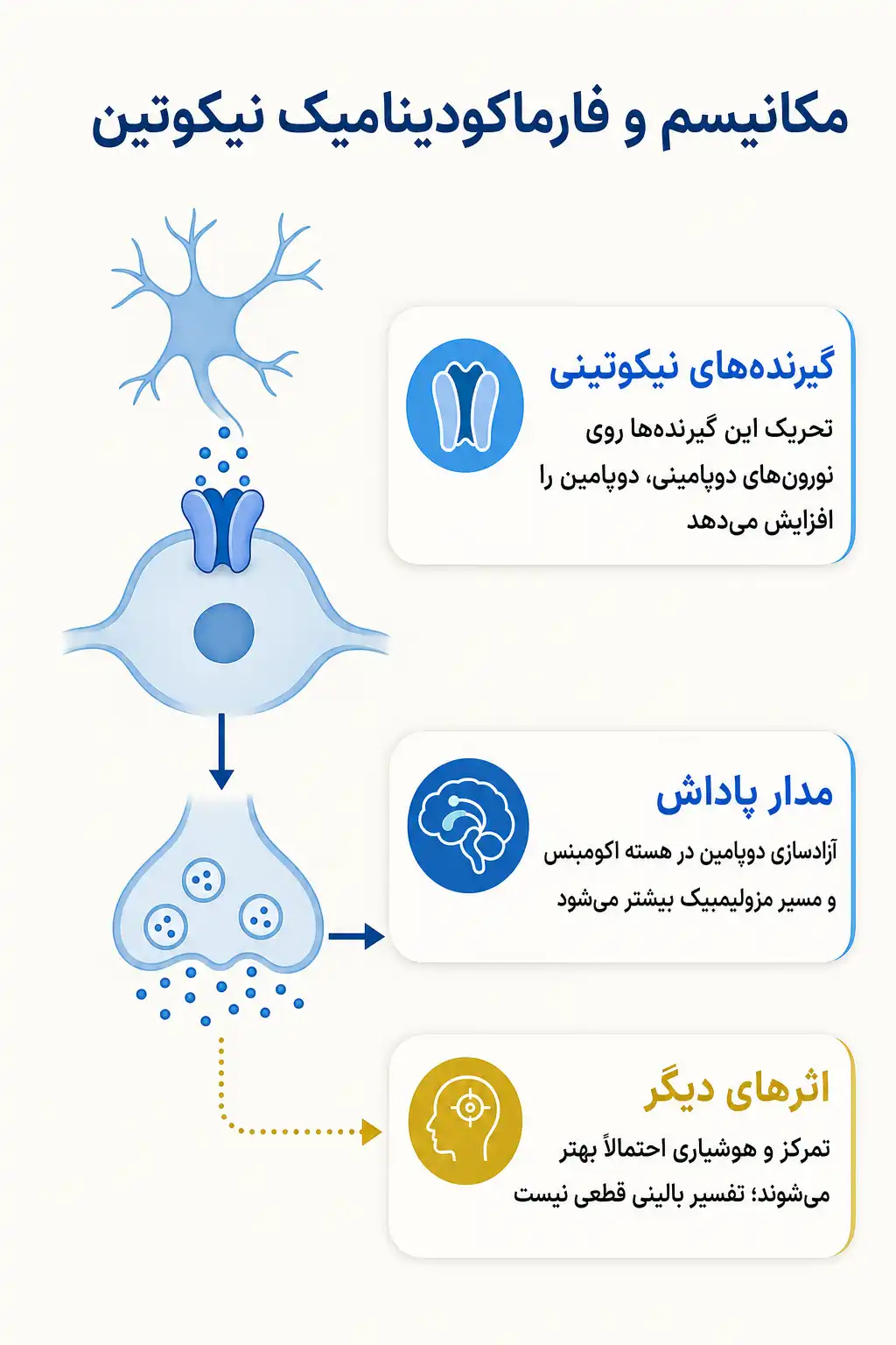 اینفوگرافیک مکانیسم اثر و فارماکودینامیکنیکوتین