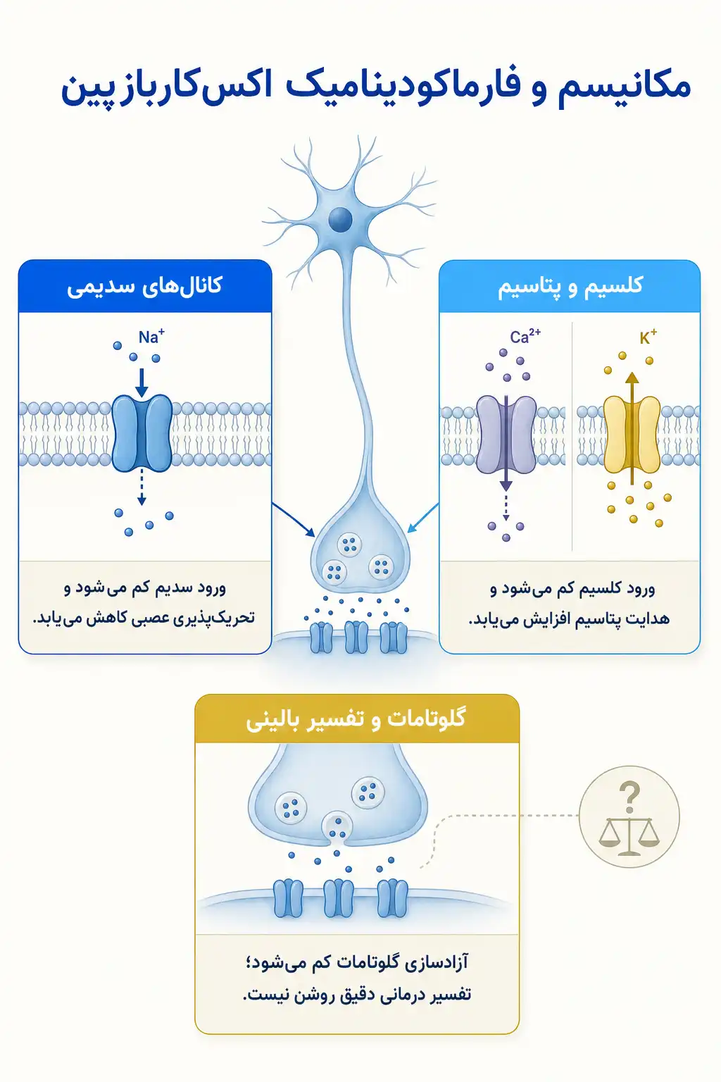 اینفوگرافیک مکانیسم اثر و فارماکودینامیکاکس‌کاربازپین