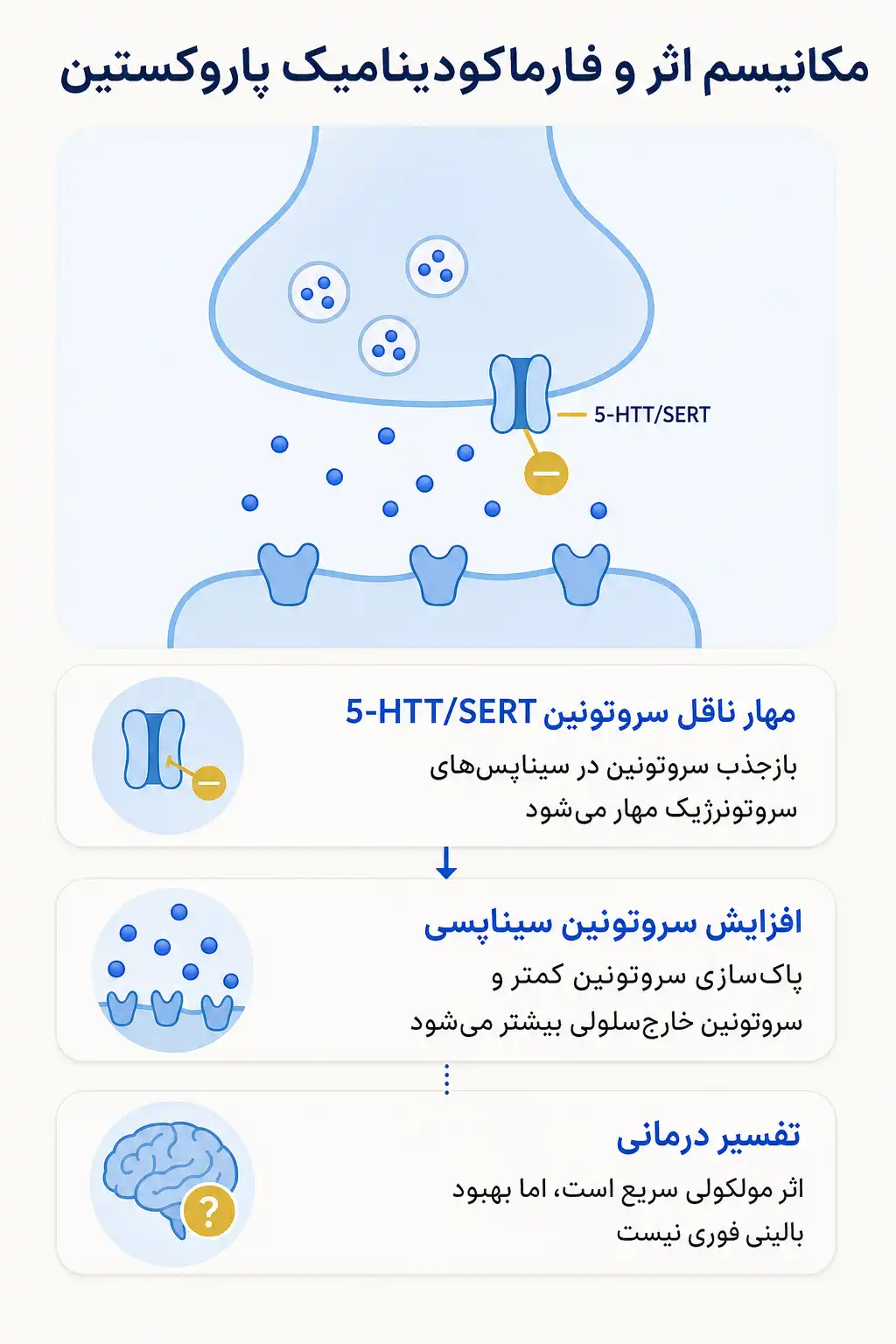اینفوگرافیک مکانیسم اثر و فارماکودینامیکپاروکستین