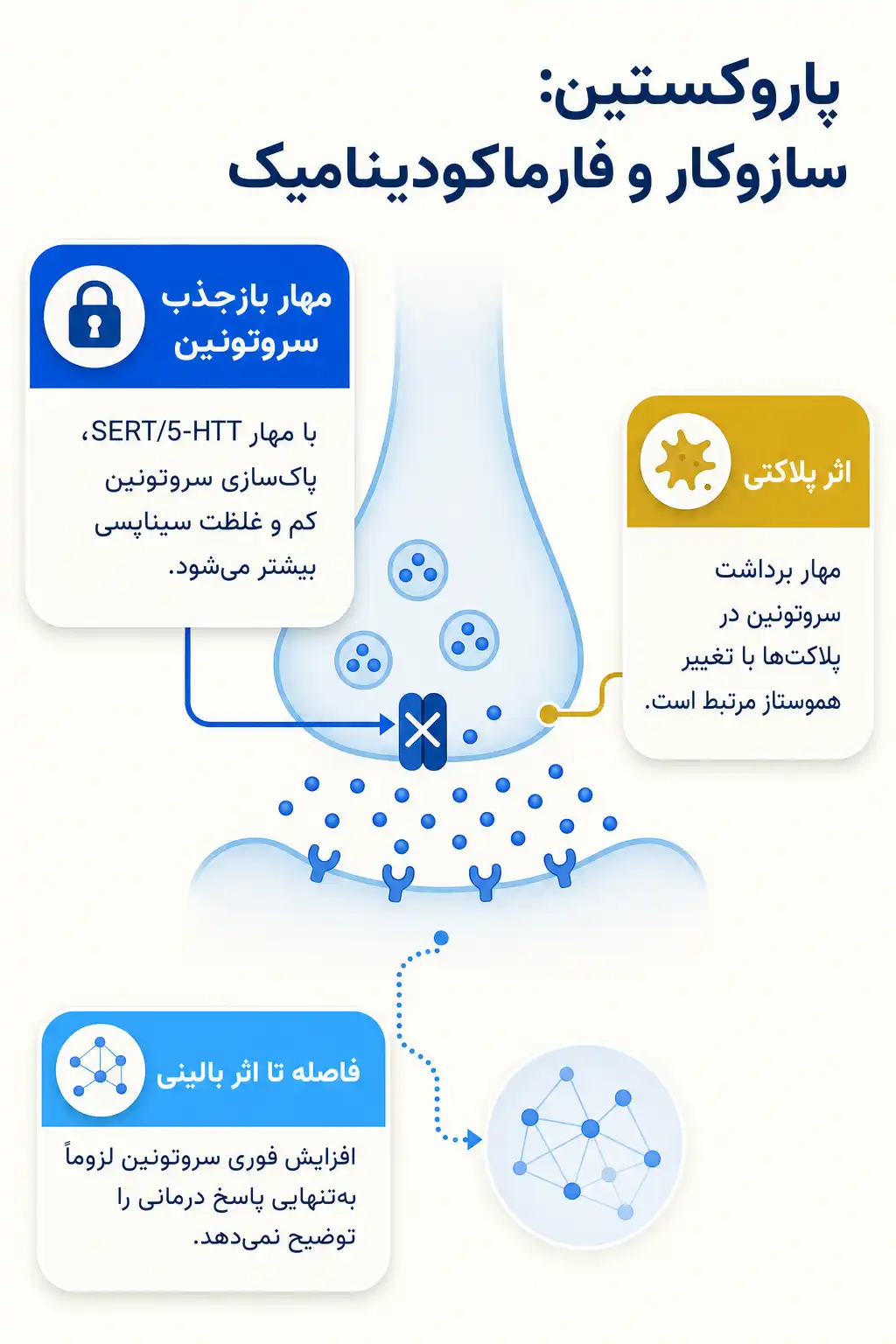 اینفوگرافیک مکانیسم اثر و فارماکودینامیکپاروکستین