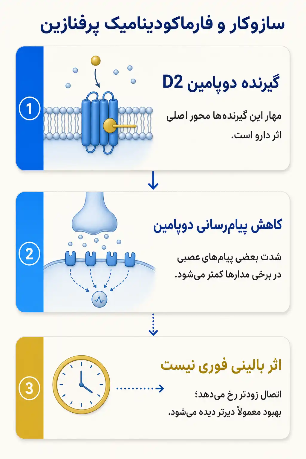 اینفوگرافیک مکانیسم اثر و فارماکودینامیکپرفنازین
