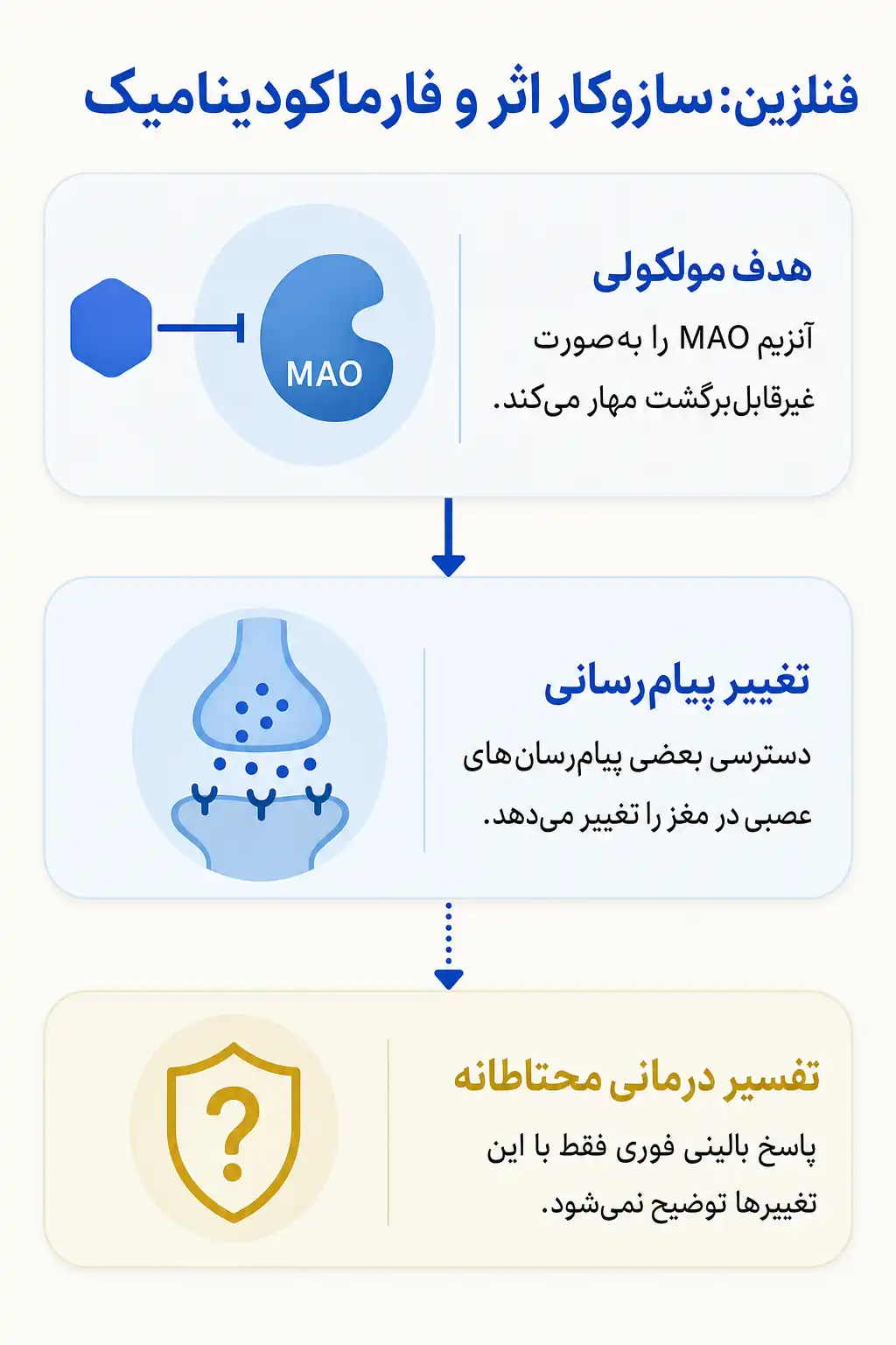 اینفوگرافیک مکانیسم اثر و فارماکودینامیکفنلزین