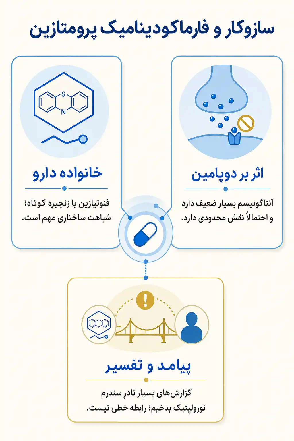 اینفوگرافیک مکانیسم اثر و فارماکودینامیکپرومتازین