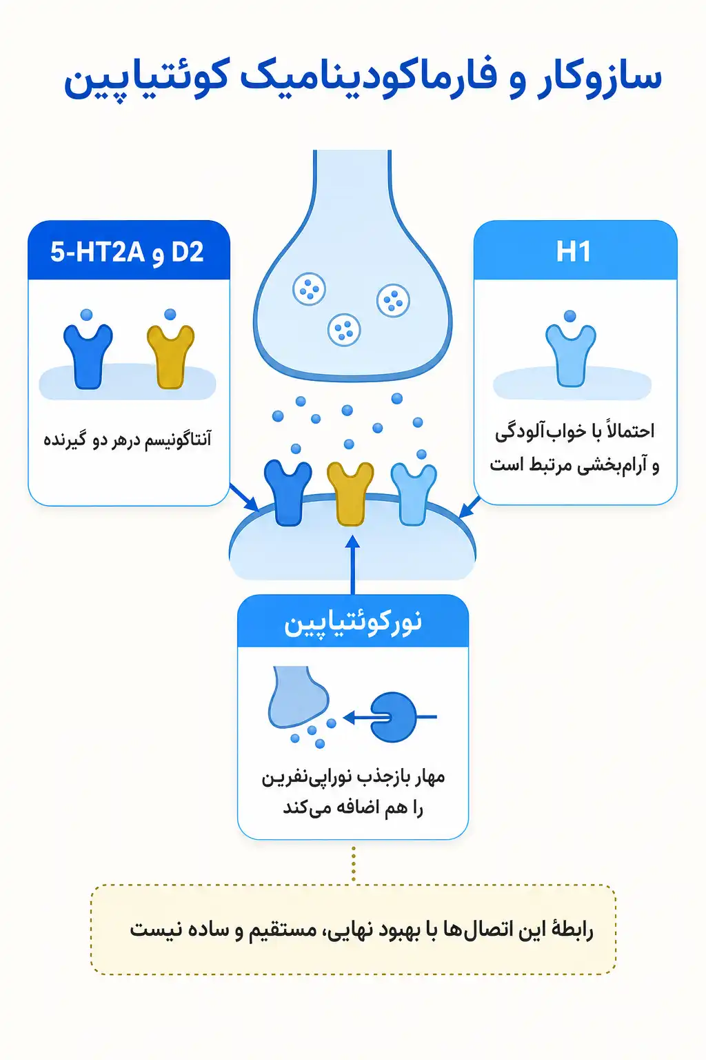 اینفوگرافیک مکانیسم اثر و فارماکودینامیککوئتیاپین