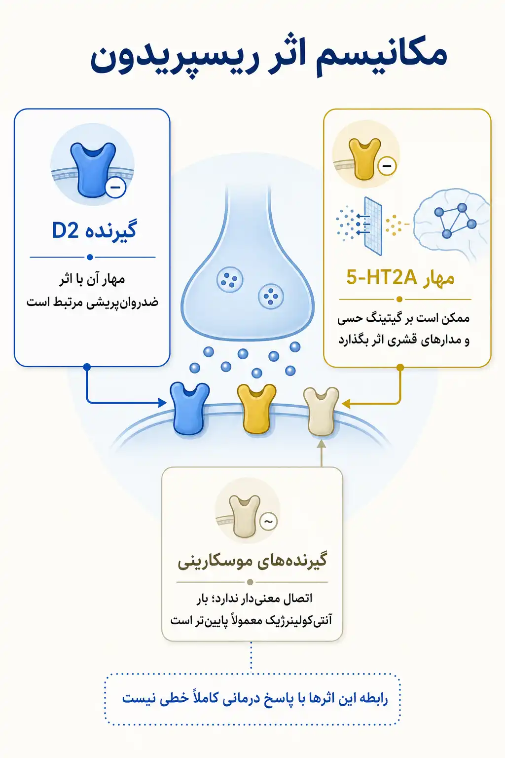 اینفوگرافیک مکانیسم اثر و فارماکودینامیکریسپریدون