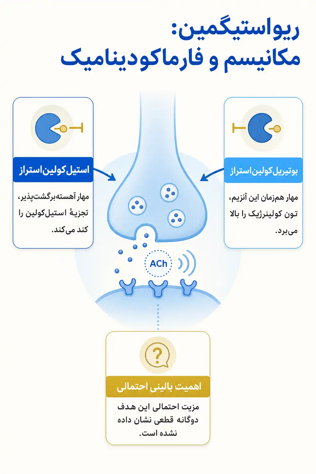 اینفوگرافیک مکانیسم اثر و فارماکودینامیکریواستیگمین