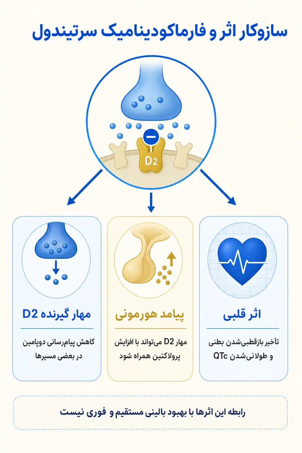 اینفوگرافیک مکانیسم اثر و فارماکودینامیکسرتیندول