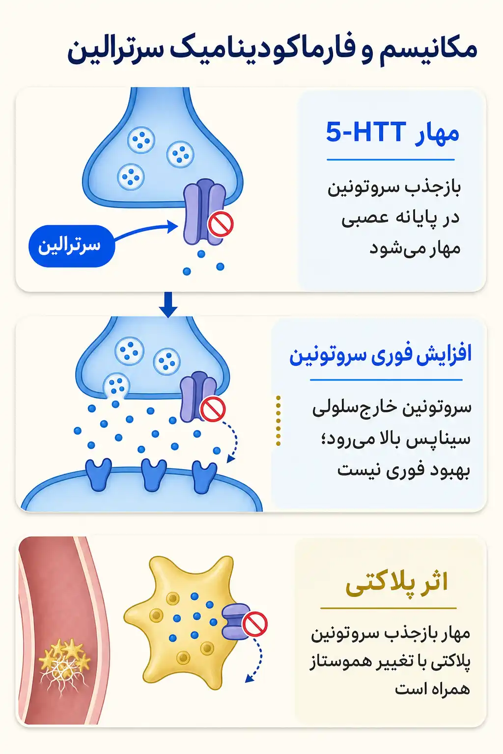 اینفوگرافیک مکانیسم اثر و فارماکودینامیکسرترالین