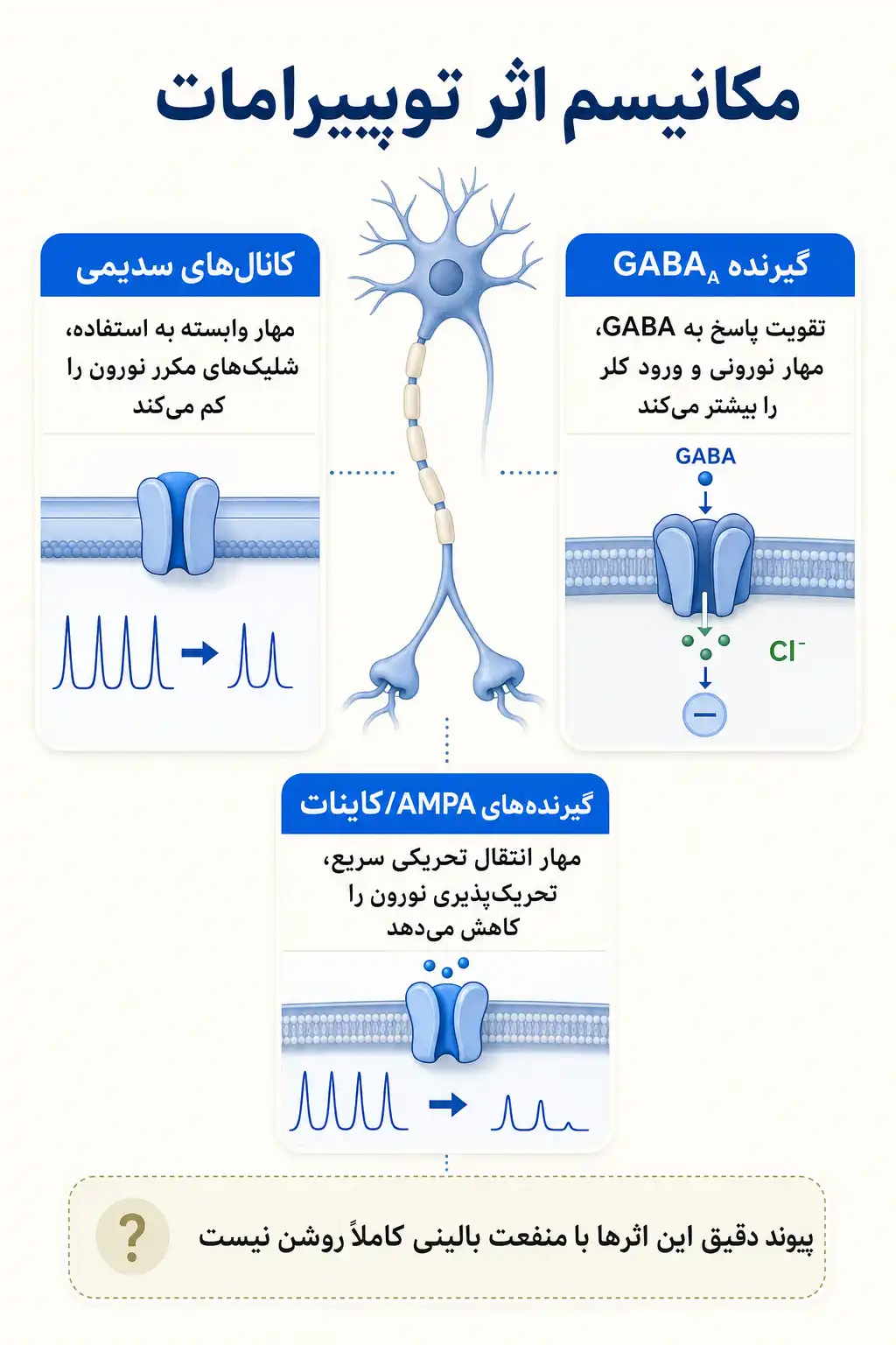 اینفوگرافیک مکانیسم اثر و فارماکودینامیکتوپیرامات
