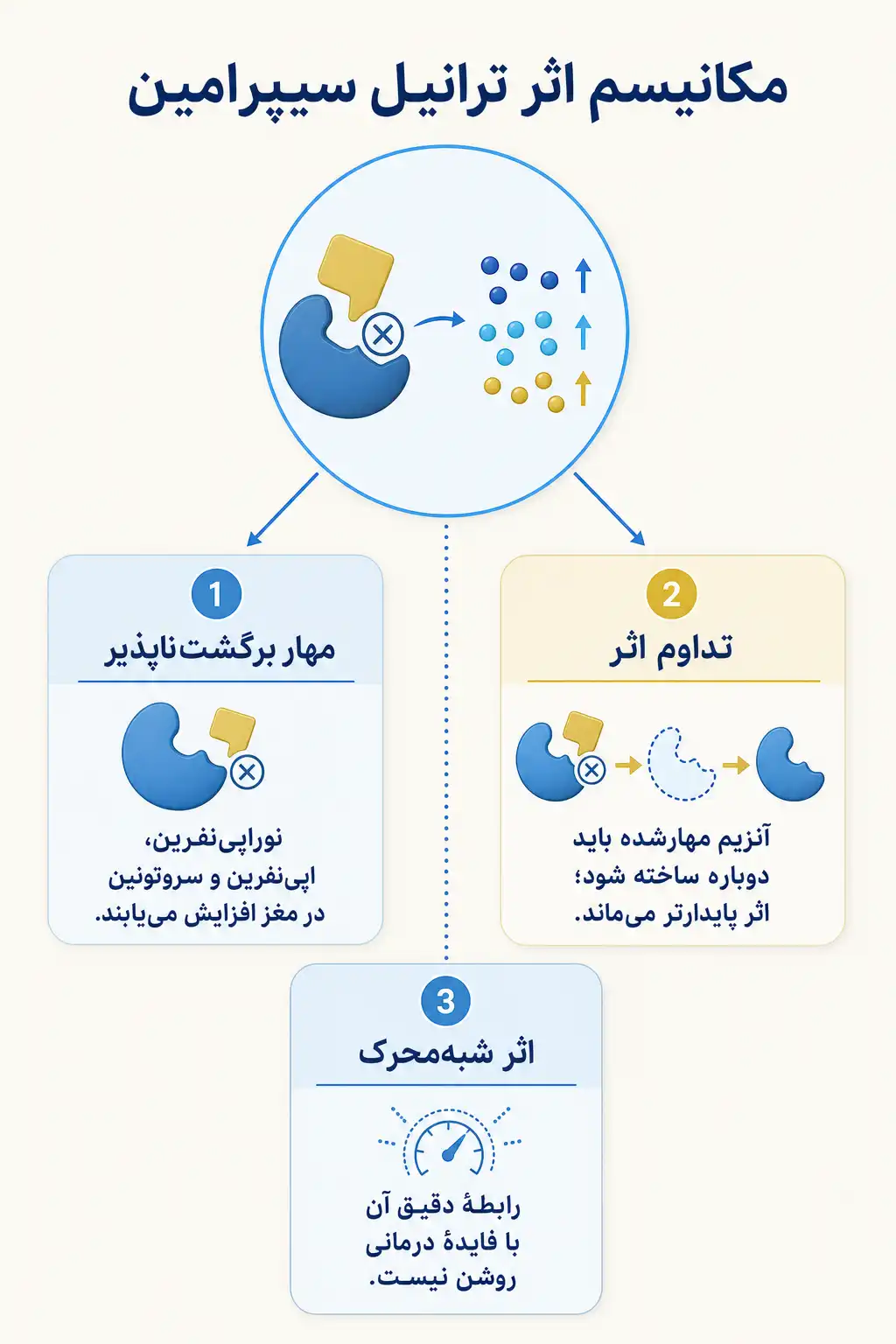 اینفوگرافیک مکانیسم اثر و فارماکودینامیکترانیل سیپرامین