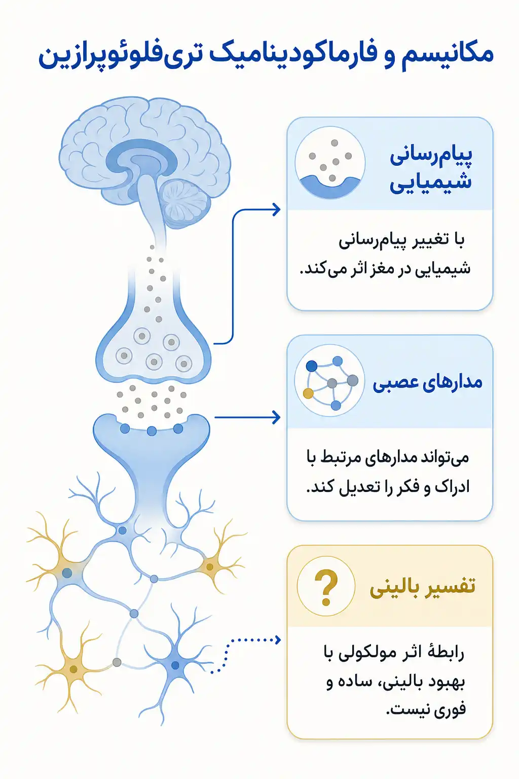 اینفوگرافیک مکانیسم اثر و فارماکودینامیکتری‌فلوئوپرازین