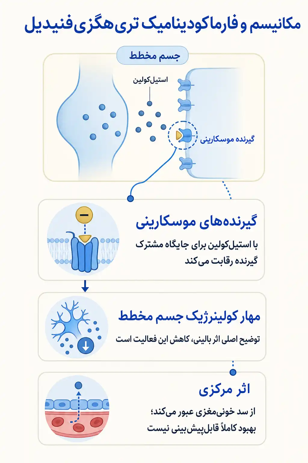 اینفوگرافیک مکانیسم اثر و فارماکودینامیکتری‌هگزی‌فنیدیل