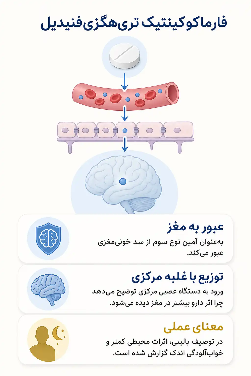 اینفوگرافیک فارماکوکینتیک و مسیر تری‌هگزی‌فنیدیل در بدن