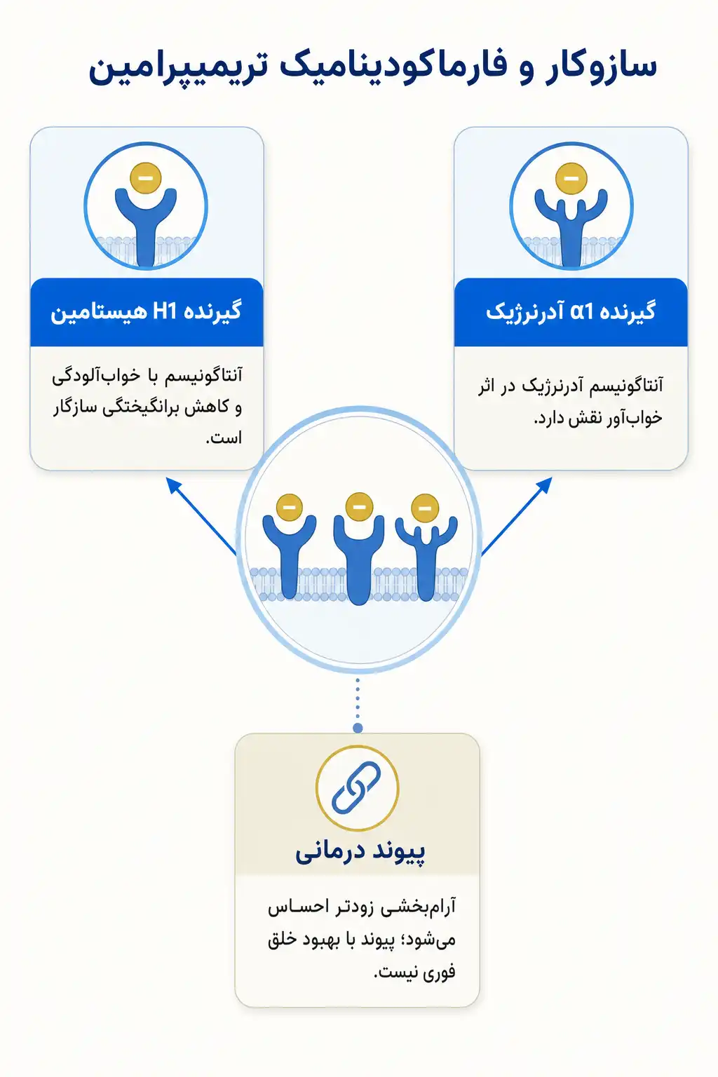 تریمیپرامین چیست؟ کاربردها، نحوه مصرف، عوارض و نکات مهم درمان اینفوگرافیک مکانیسم اثر و فارماکودینامیکتریمیپرامین