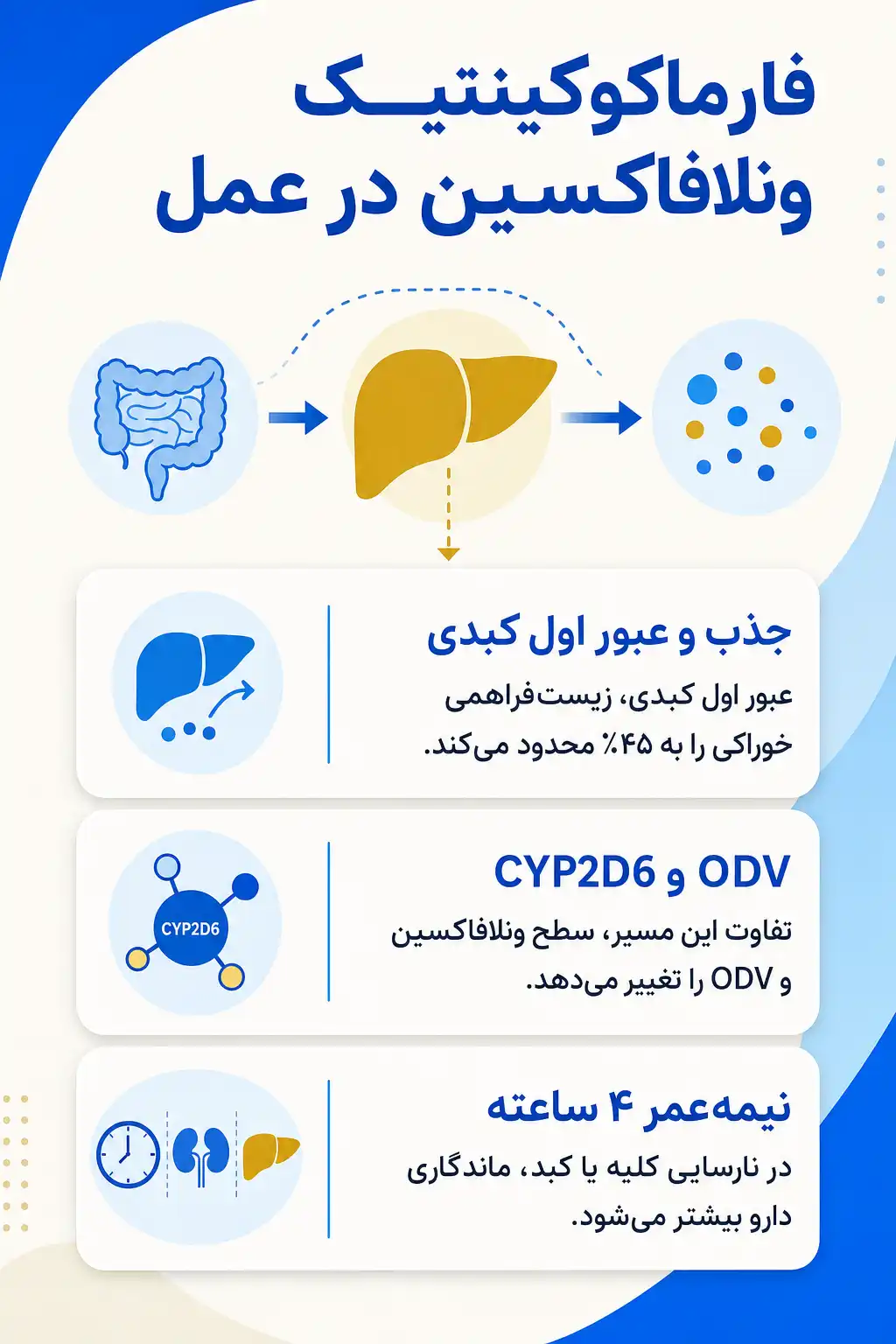 اینفوگرافیک فارماکوکینتیک و مسیر ونلافاکسین در بدن