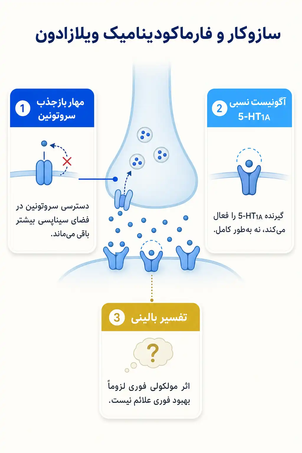 اینفوگرافیک مکانیسم اثر و فارماکودینامیکویلازادون