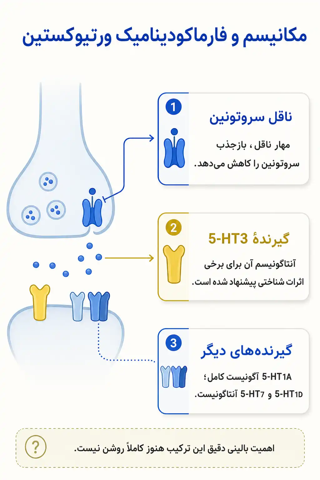 اینفوگرافیک مکانیسم اثر و فارماکودینامیکورتیوکستین