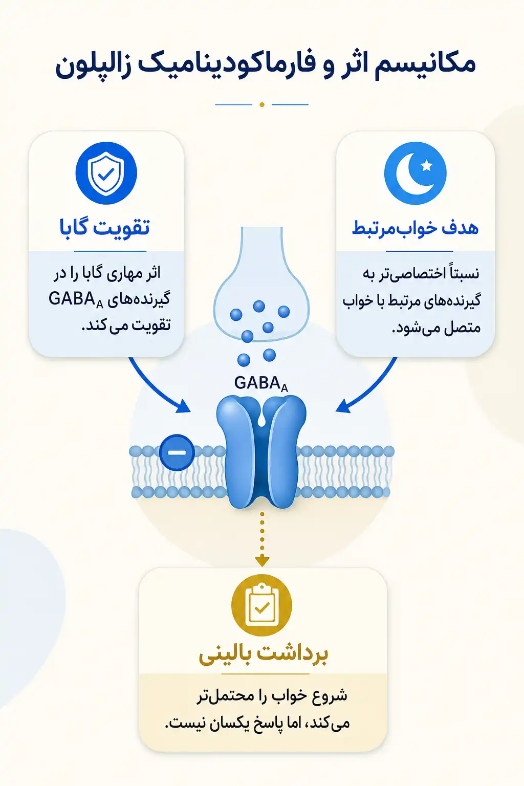 اینفوگرافیک مکانیسم اثر و فارماکودینامیکزالپلون