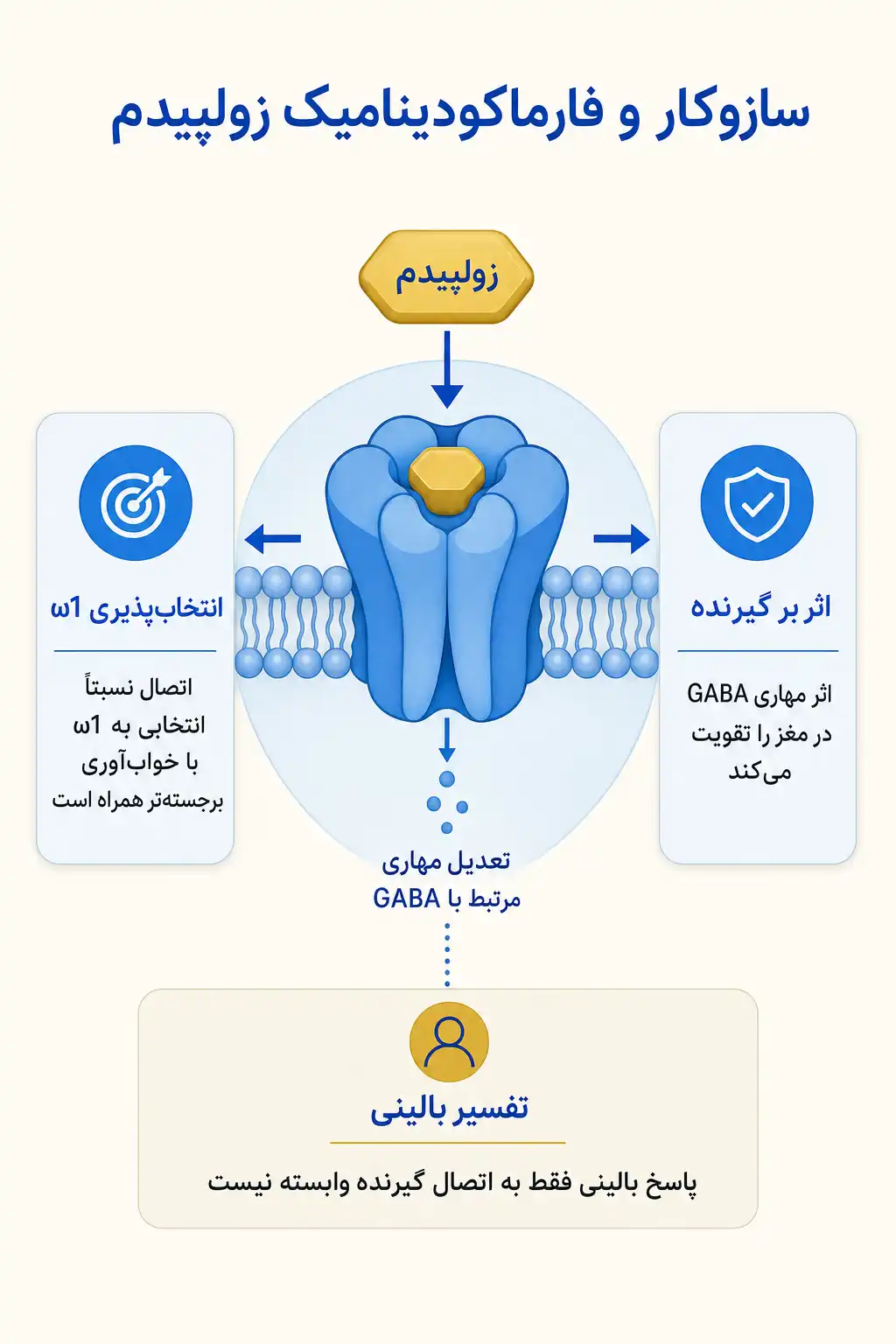 اینفوگرافیک مکانیسم اثر و فارماکودینامیکزولپیدم