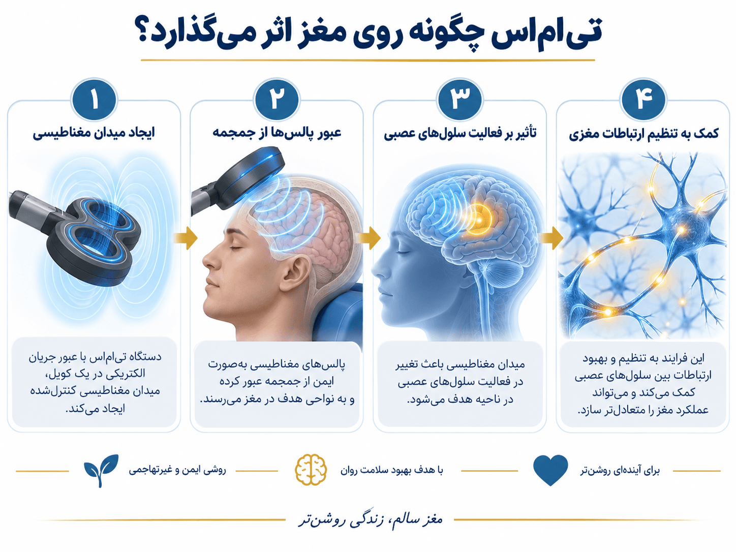 اینفوگرافیک مراحل عملکرد تحریک مغناطیسی مغز از ایجاد میدان مغناطیسی تا تنظیم فعالیت سلول‌های عصبی